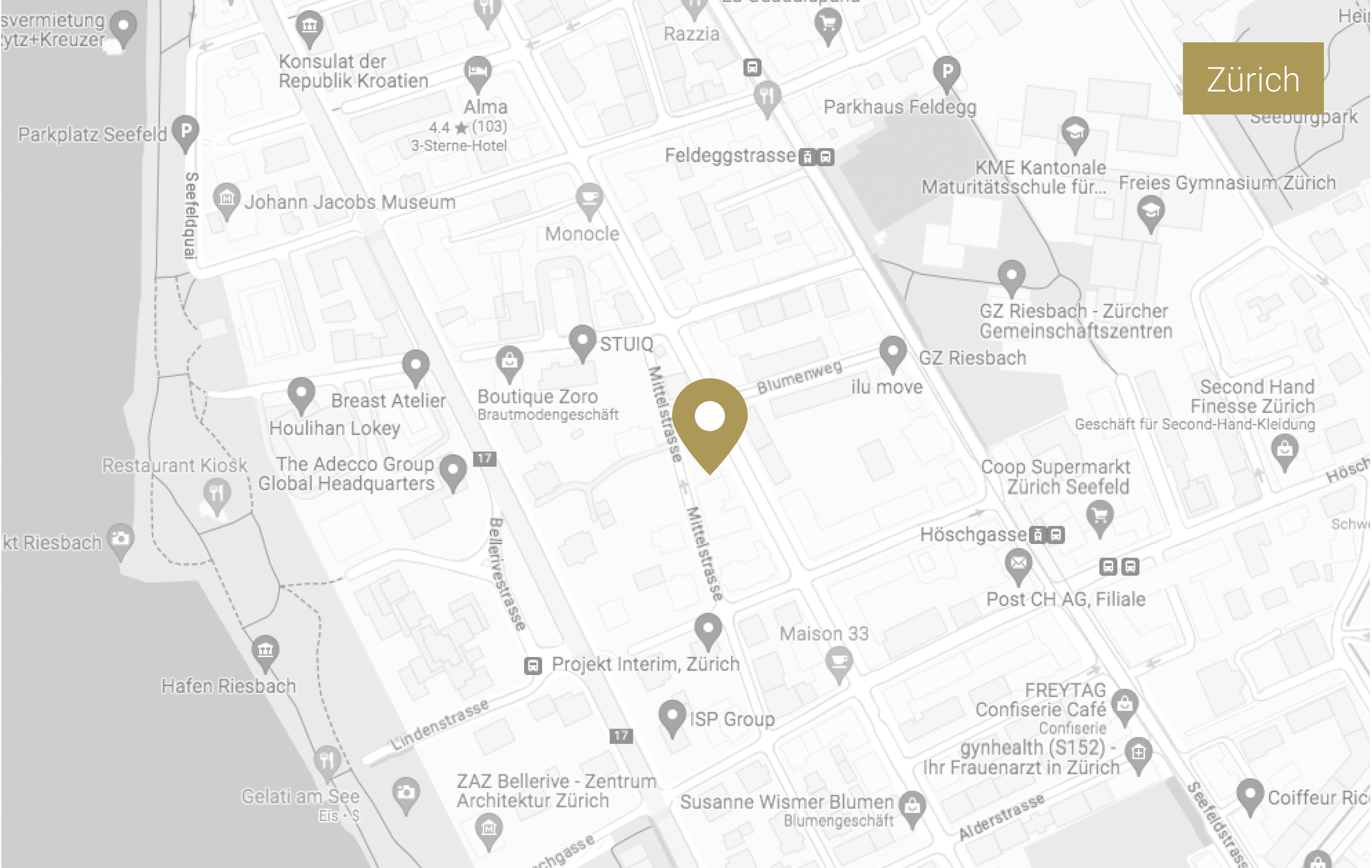 Karte Standort Zürich